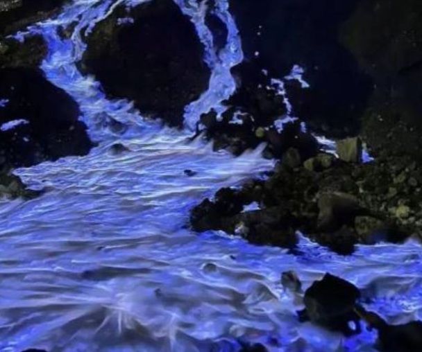 activity_detail_image