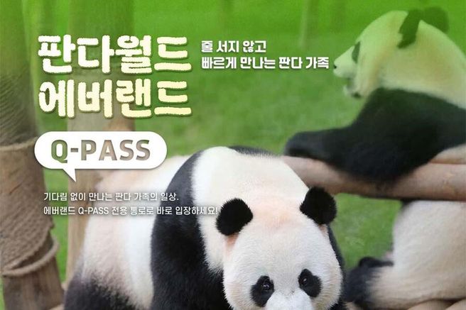 용인 에버랜드 판다월드 큐패스 Q-PASS