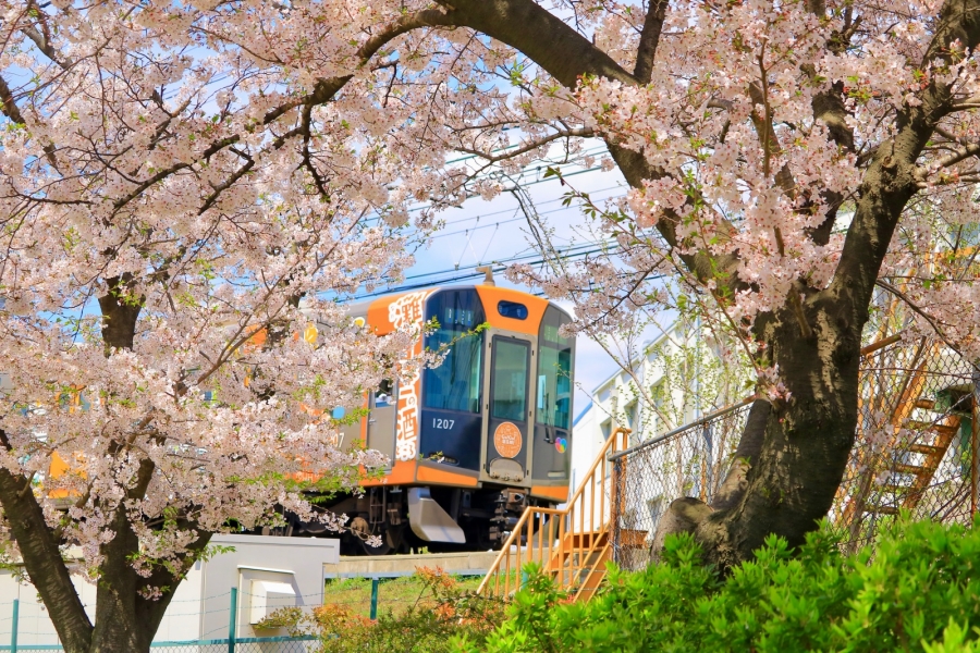大阪阪神電車パス - 24時間券