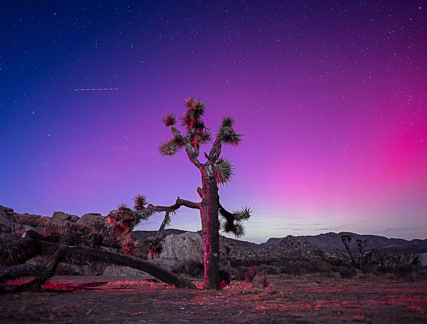 detail_image