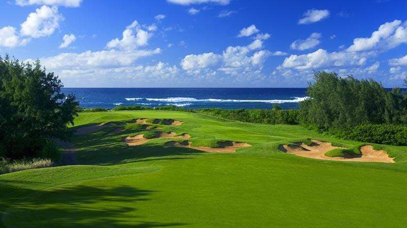 Hawaii Turtle Bay Golf Club Tour - George Fazio & Arnold Palmer Courses (18 Holes Green Fee + Cart Fee)