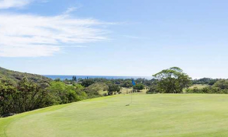 Hawaii Kai Golf Club Tour - Championship Course (18 Holes Green Fee + Cart Fee)