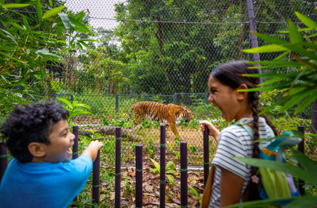 Singapore Rainforest Wild Adventures Plus Experience Ticket