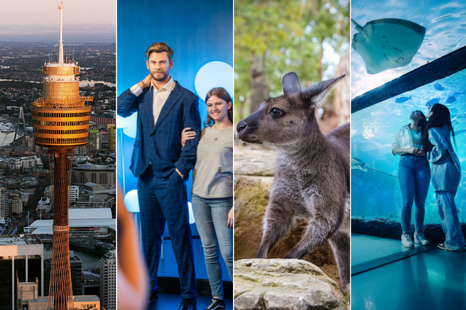 Sydney Attraction Pass: SEA LIFE Aquarium, Sydney Tower Eye, Madame Tussauds, WILD LIFE Zoo