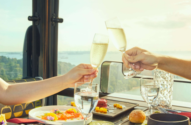 Singapore Cable Car Sky Dining: Starlight Flight (3-Course, 4-Course Dinner)