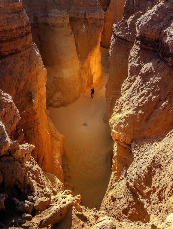 activity_detail_image