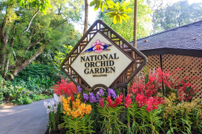 Singapore National Orchid Garden Ticket