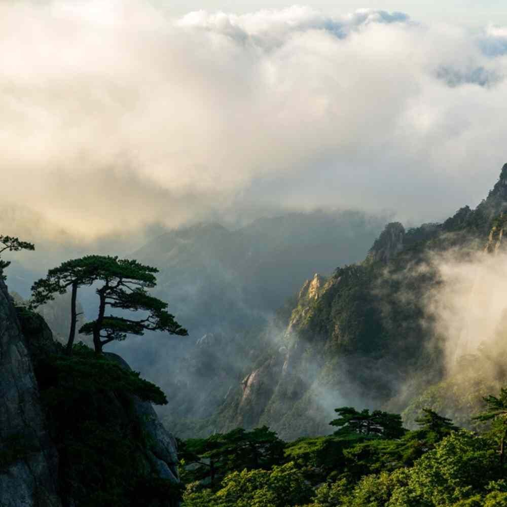 중국 황산 1박 일몰 & 일출 단독 투어 (교통, 호텔 포함)