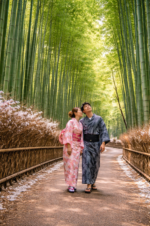 大阪・京都発：京都＆奈良 日帰りツアー（嵐山・奈良公園・伏見稲荷大社）