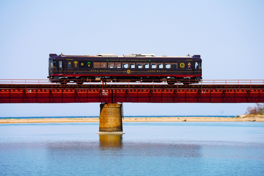 大阪発：天橋立＆伊根舟屋クルーズ 日帰りツアー（『千と千尋の神隠し』の海列車含む）