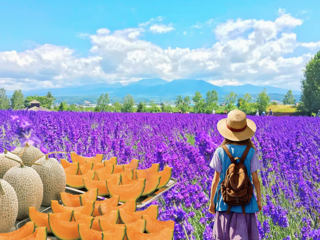 Biei Summer Day Tour from Sapporo (Blue Pond & Shikisai-no-Oka & Farm Tomita)