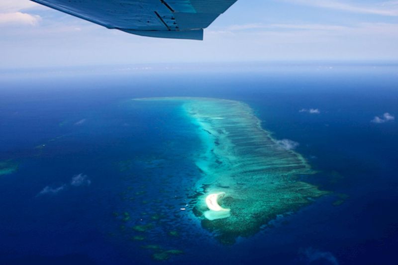 Great Barrier Reef Scenic Flight Tour (40 mins, Window Seat, Pickup Included)