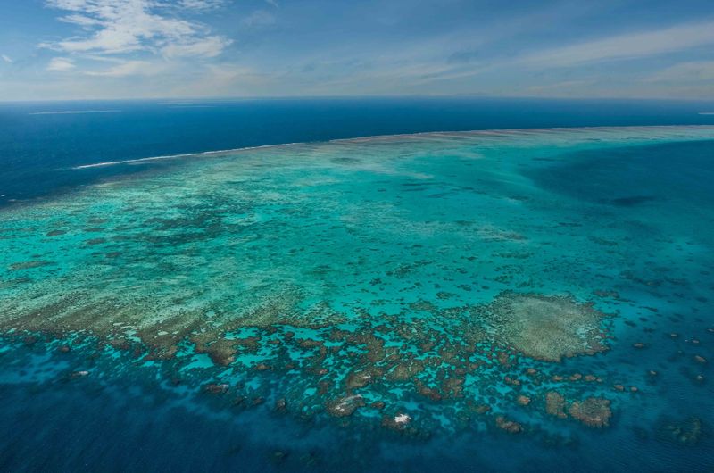 Great Barrier Reef Scenic Flight Tour (40 mins, Window Seat, Pickup Included)