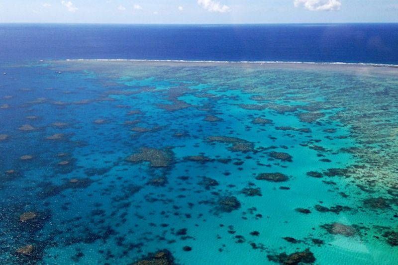 Great Barrier Reef Scenic Flight Tour (40 mins, Window Seat, Pickup Included)