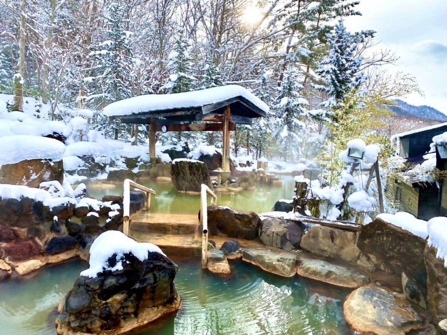 北海道・札幌・豊平峡温泉 入場券