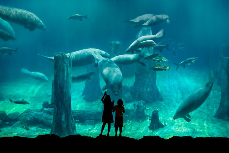 Singapore River Wonders Ticket - Mandai Wildlife Reserve