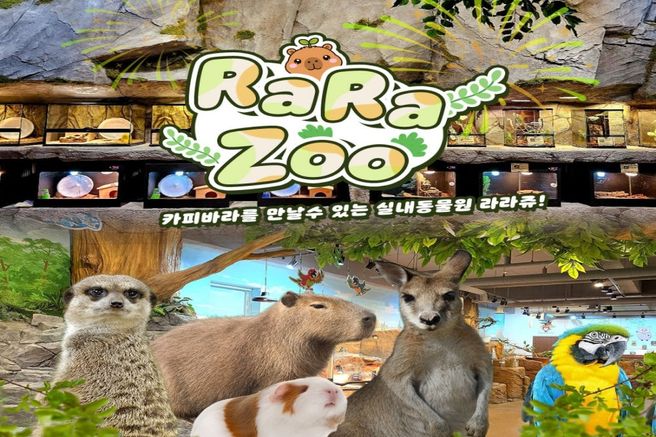 부산 라라쥬 실내동물원 입장권
