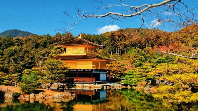 Osaka/Kyoto Departure: Kyoto Autumn Healing Tour (Kinkaku-ji & Tenryu-ji & Arashiyama Evening Maple Train)