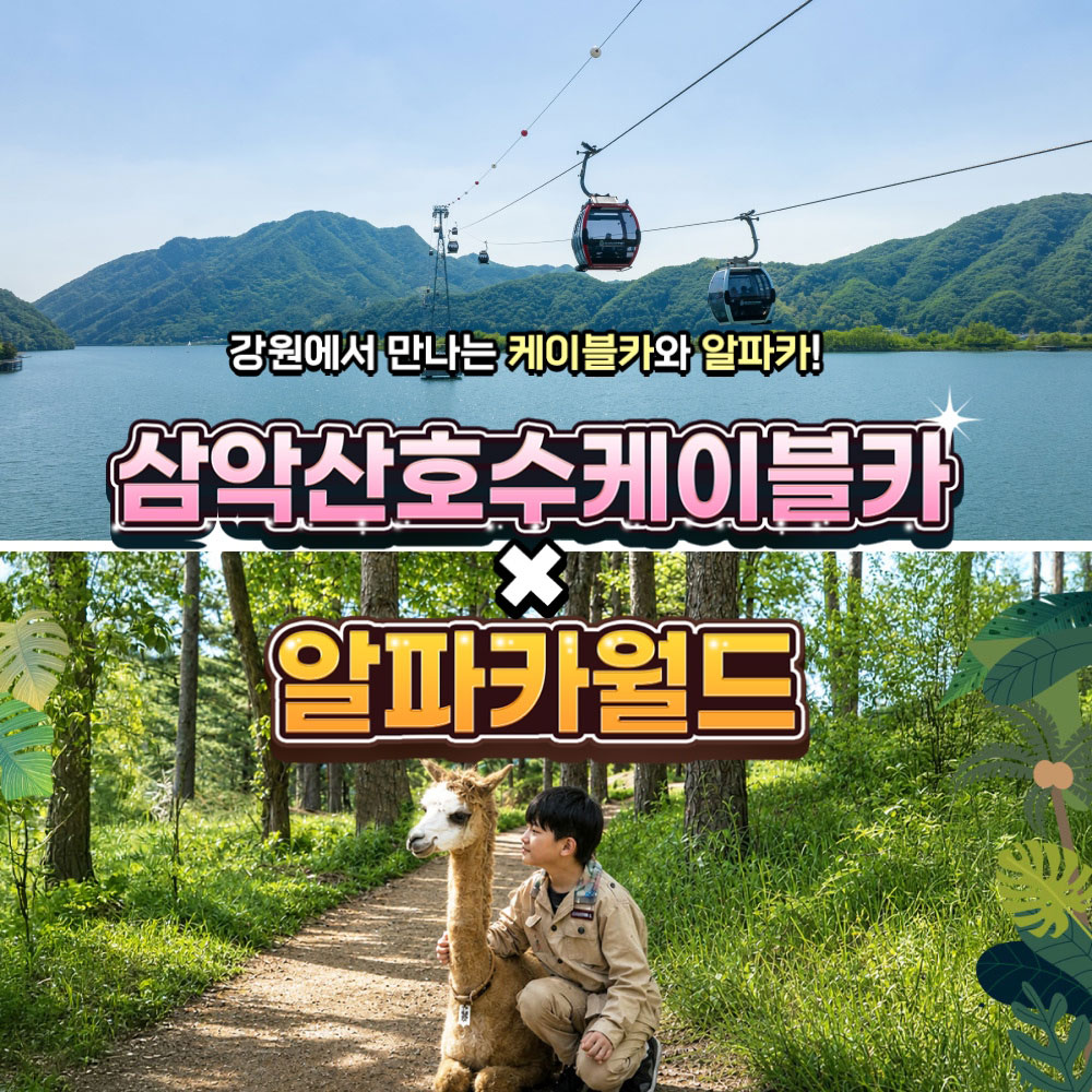강원 춘천 삼악산 케이블카 & 알파카월드 PKG 입장권