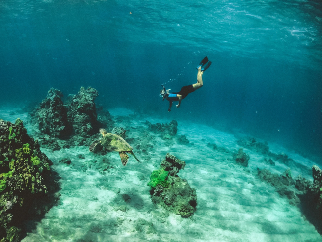 Bali Amed 4 Spots Snorkeling Private Tour