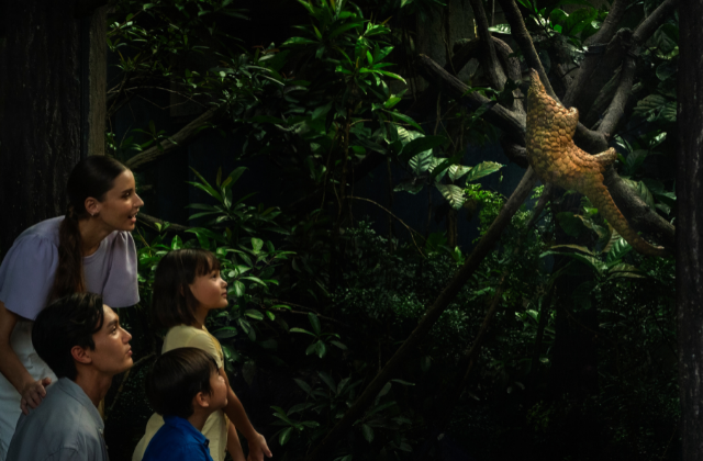 Singapore Night Safari Ticket & Unlimited Tram - Mandai Wildlife Reserve