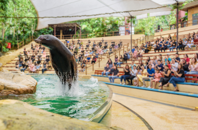 Singapore Zoo Ticket + Unlimited Tram - Mandai Wildlife Reserve