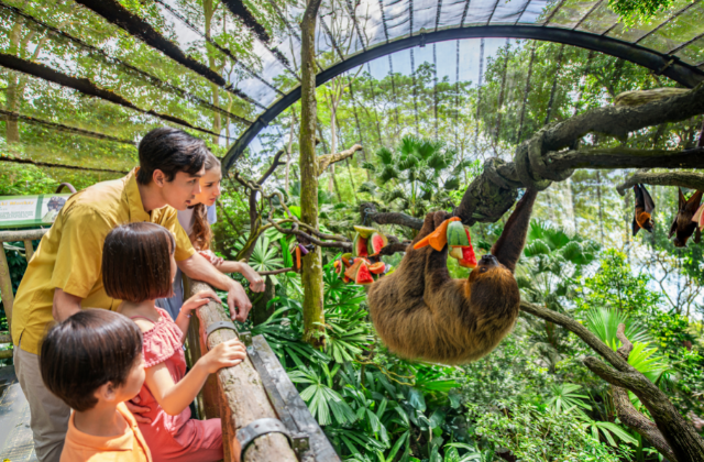 Singapore Zoo Ticket + Unlimited Tram - Mandai Wildlife Reserve