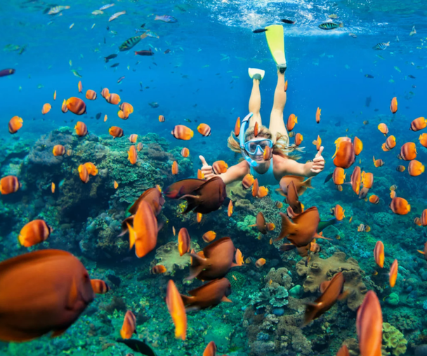 activity_detail_image