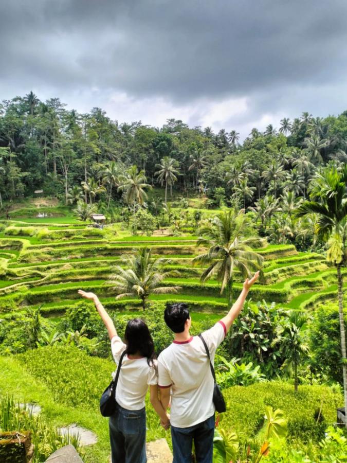 Ubud Checkout Tour with Korean Guide on Your Last Day in Bali
