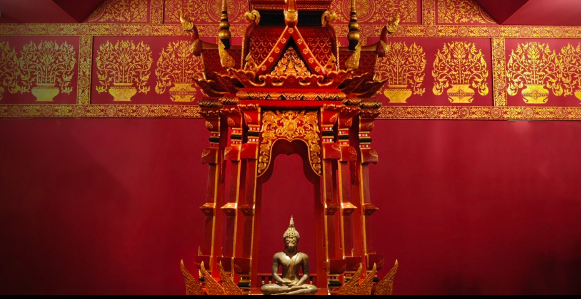 activity_detail_image