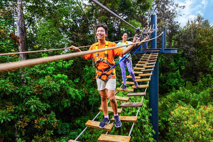 Singapore Rainforest Wild Adventures Plus Experience Ticket