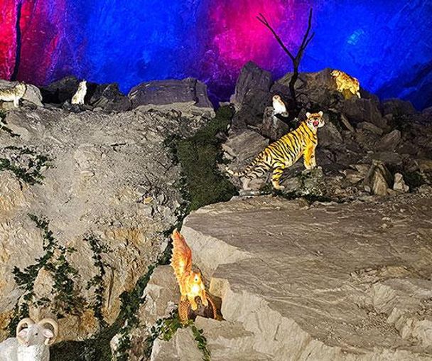 activity_detail_image