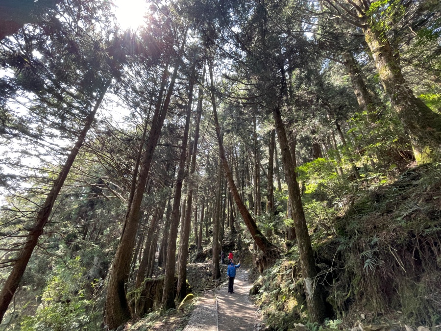 대만 태평산 + 봉봉열차 + 온천 투어 (타이베이 출발)