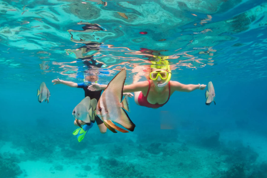[Indonesia/Bali] Gili Snorkeling Tour(join)
