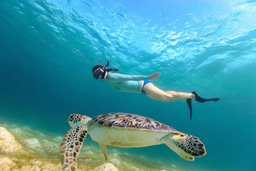 [Indonesia/Bali] Gili Snorkeling Tour(join)