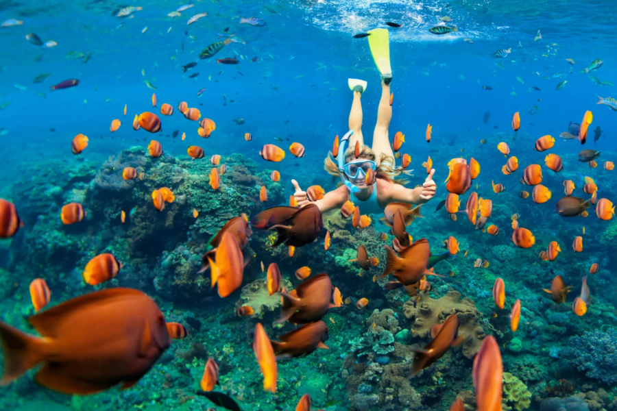 [Indonesia/Bali] Gili Snorkeling Tour(join)