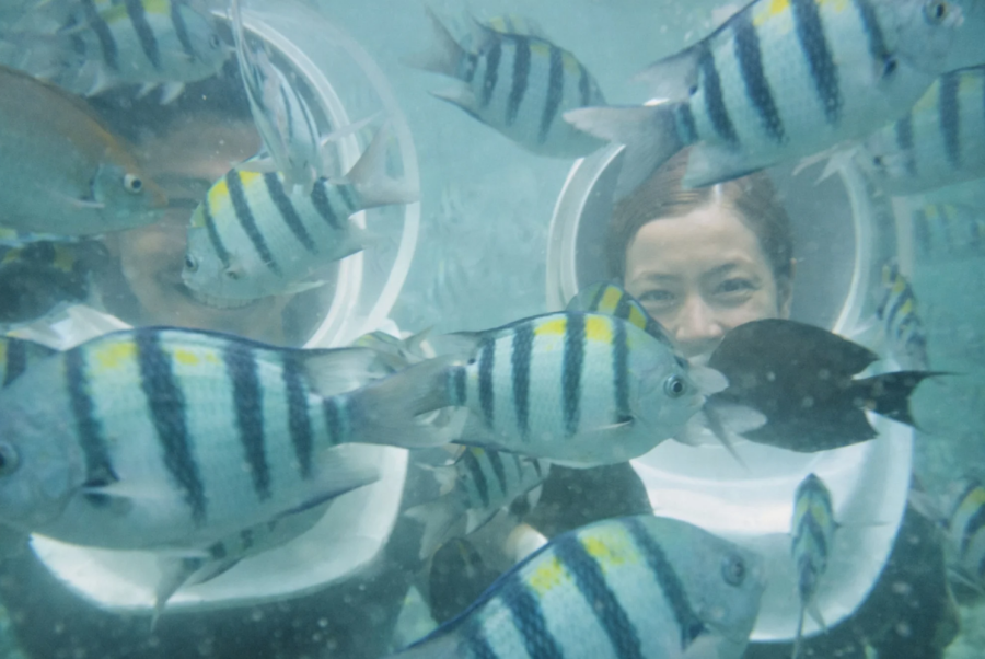 Tanjung Benoa Sea Walking Join Tour, Bali