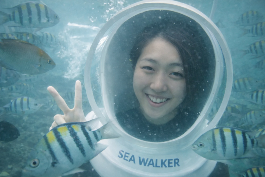 Tanjung Benoa Sea Walking Join Tour, Bali