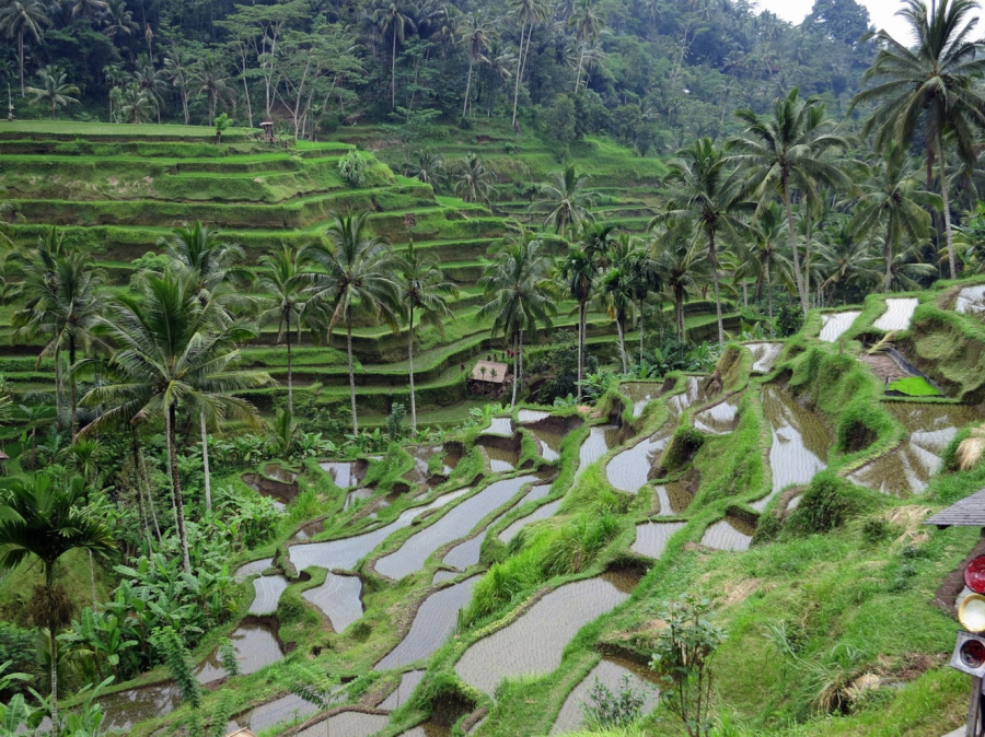 Bali Mount Batur Natural Hot Spring Healing & Volcano View Private Day Tour (Korean Speaking Guide)