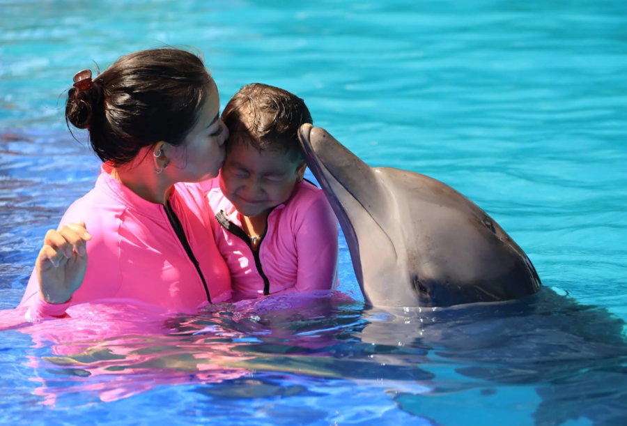 [Indonesia/Bali] Bali Exotic Marine Park Dolphin Tickets