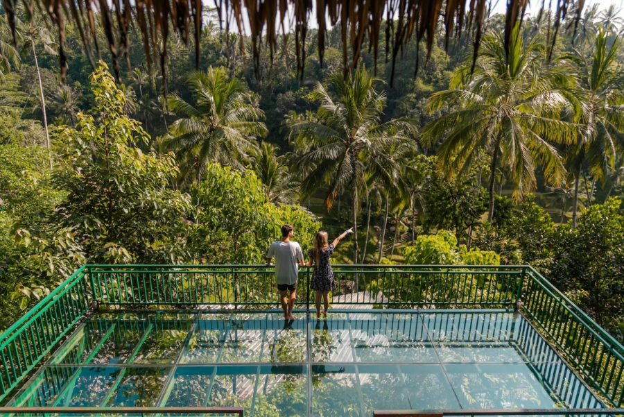 [Indonesia/Bali] Ubud Alas Harum & Cretya Day Tour (Private)