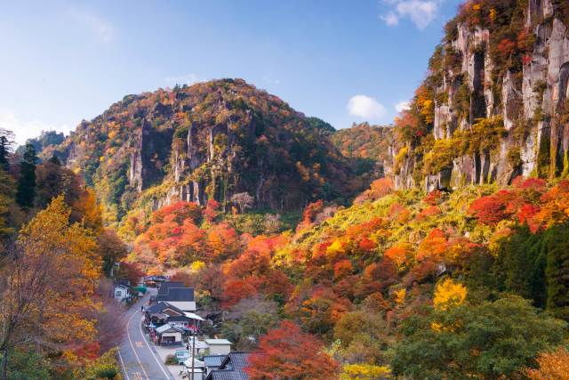 [Autumn Limited] North Kyushu Tour from Fukuoka: Experience Autumn's Grand Nature