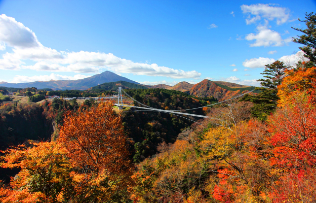 [Autumn Limited] North Kyushu Tour from Fukuoka: Experience Autumn's Grand Nature