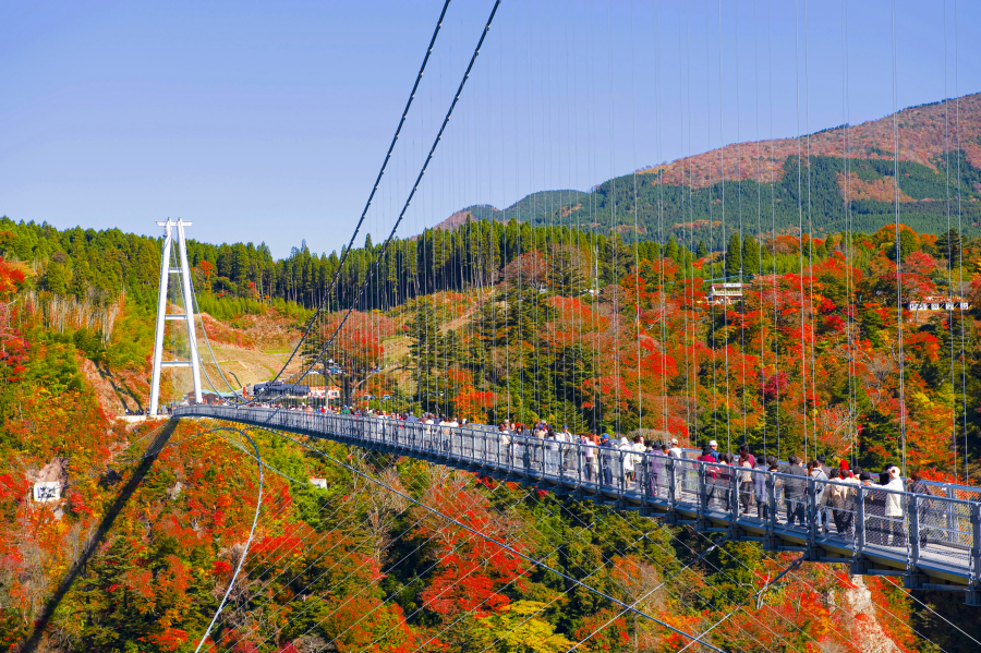 [Autumn Limited] North Kyushu Tour from Fukuoka: Experience Autumn's Grand Nature
