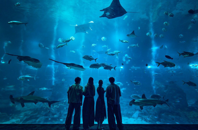 [Promotion] Singapore Oceanarium Aquarium Ticket + Meal/Shopping Discount Coupon