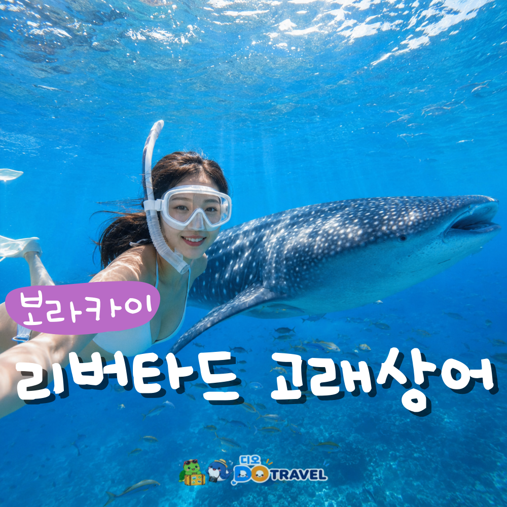 보라카이 리버타드 고래상어 투어 (왕복 픽업 포함)