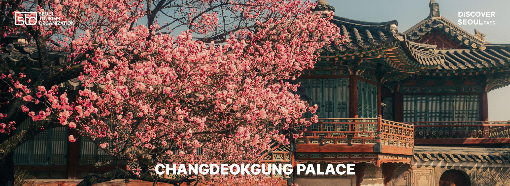 Mobile Discover Seoul Pass