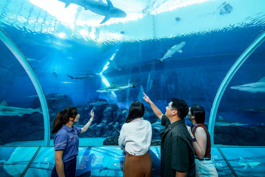 Singapore Oceanarium Ticket + Immersive Program Experience
