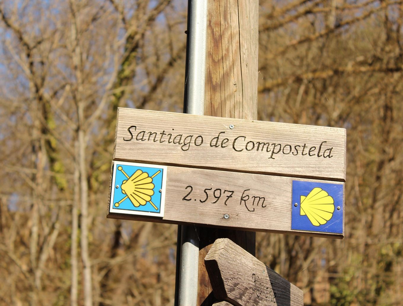 detail_image