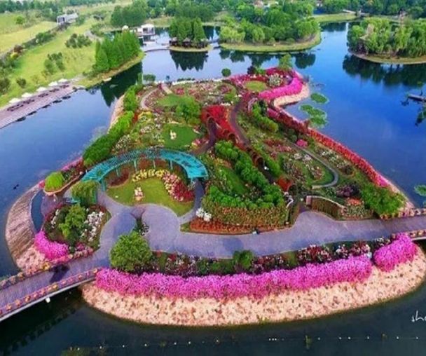 activity_detail_image